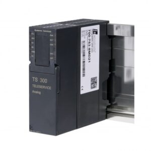 TS 300
